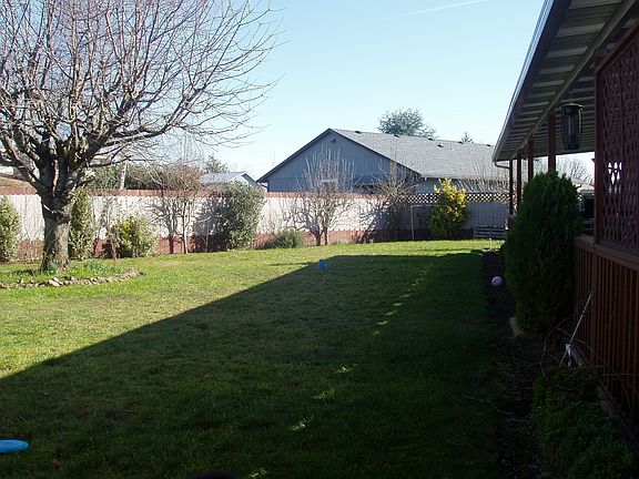 Back yard