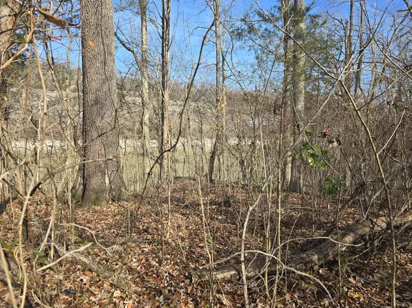 386 E Lakeshore Dr, Burnside, KY 42519