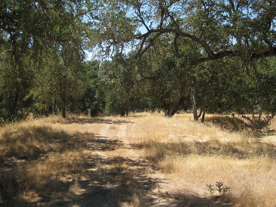 One of the campsites