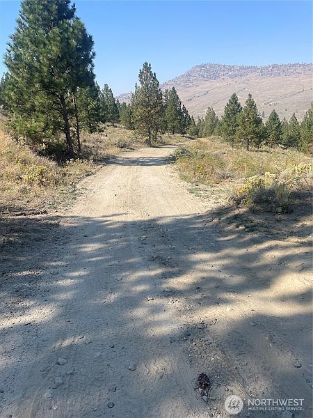 4th image of 0 TBD Reevas Basin Road