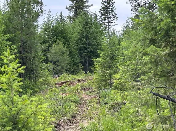 3600 Lot C Sheridan, Republic, WA 99166