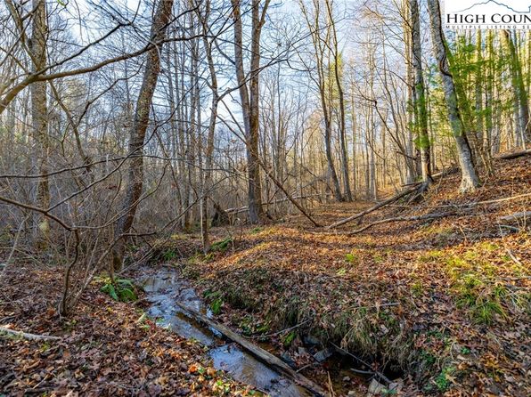TBD John Baker Road, Crumpler, NC 28617