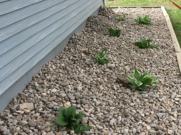 low maintenance landscaping