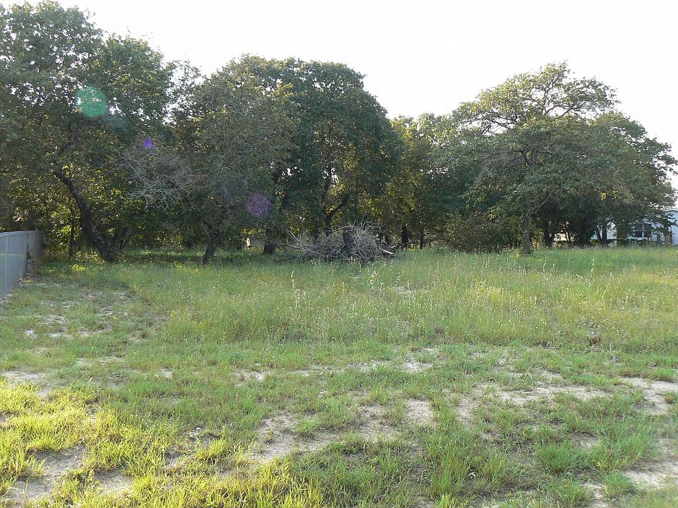 Beautiful Oaks