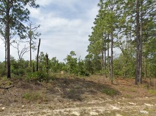 1820 W Pendleton St, Citrus Springs, FL 34434