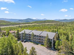 4624 Ryan Gulch Rd #4624, Silverthorne, CO 80498