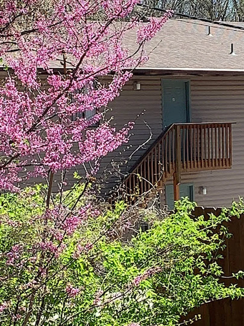 Moss Creek Apartments — Photo 4