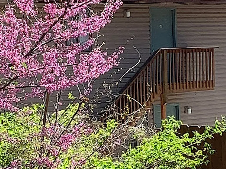 1626 University Ave — Photo 6