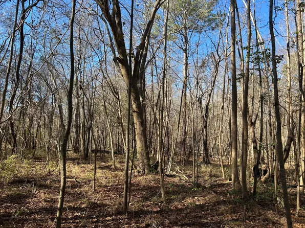 0 Highway 261, Kingstree, SC 29556