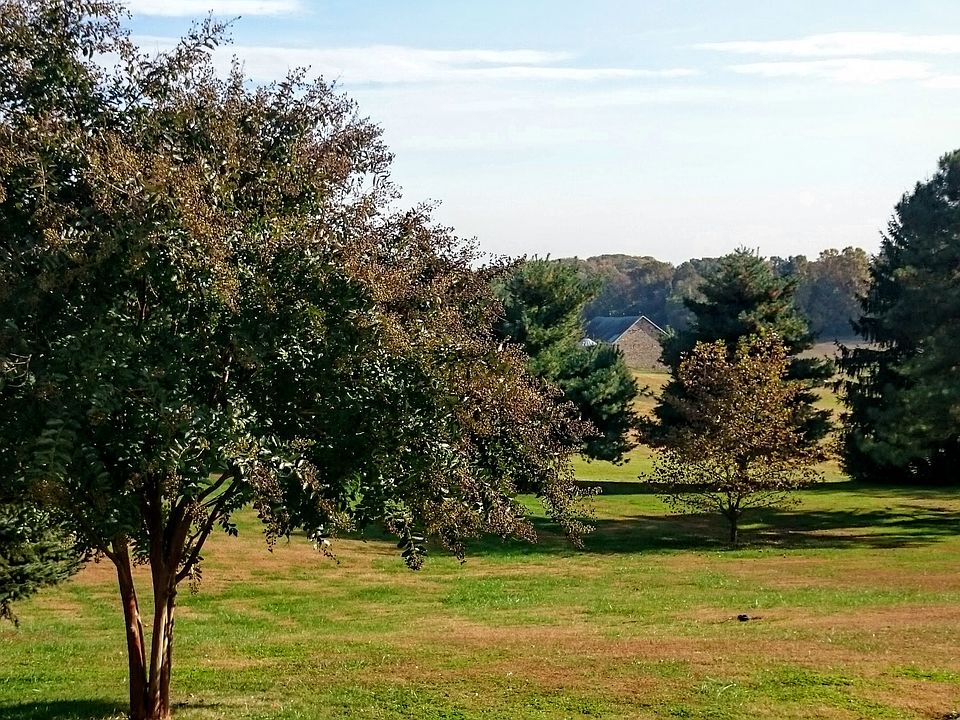 View from Sun Room 