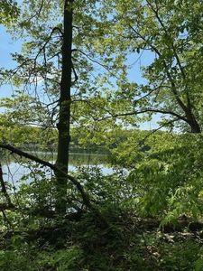 LOT 14 64th St, Luck, WI, 54853