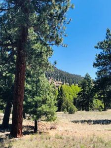 133 W Canyon View Drive LOT 133, Antonito, CO, 81120