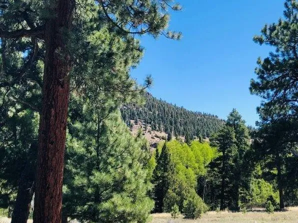 133 W Canyon View Drive LOT 133, Antonito, CO 81120