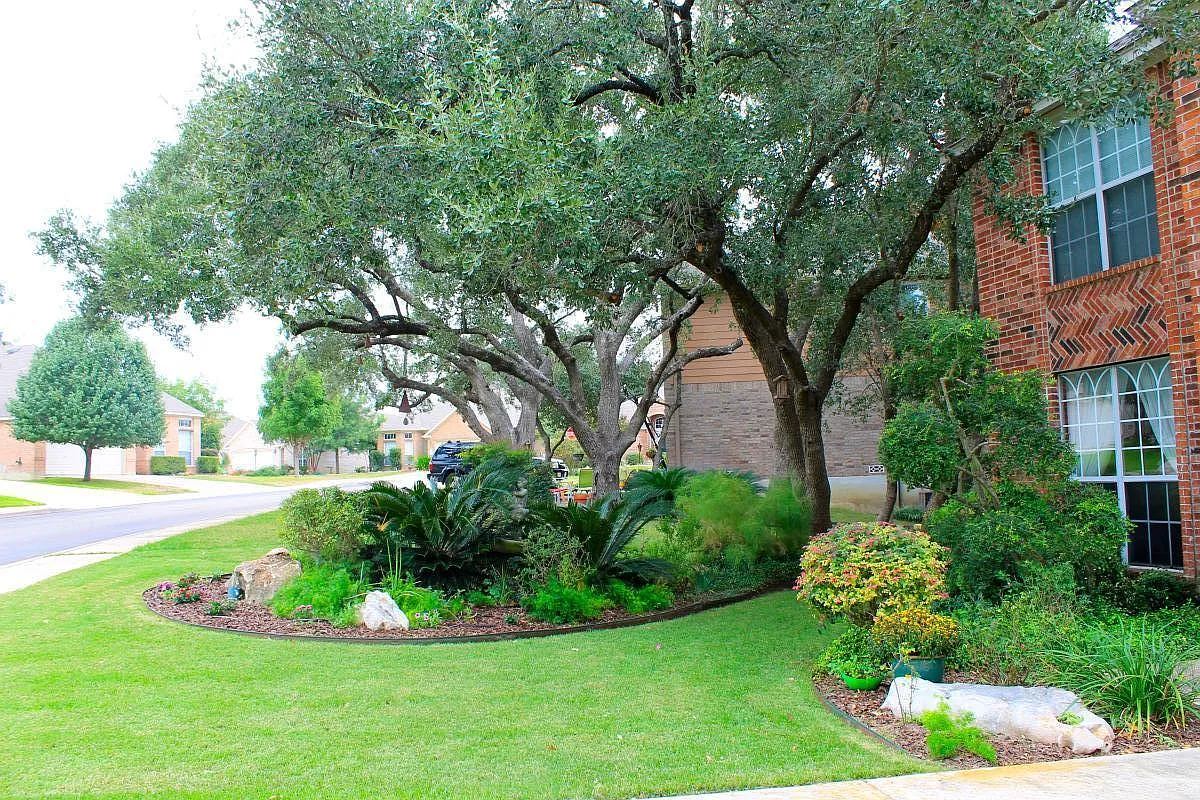 Front Garden - 3106 Sonora Mesa