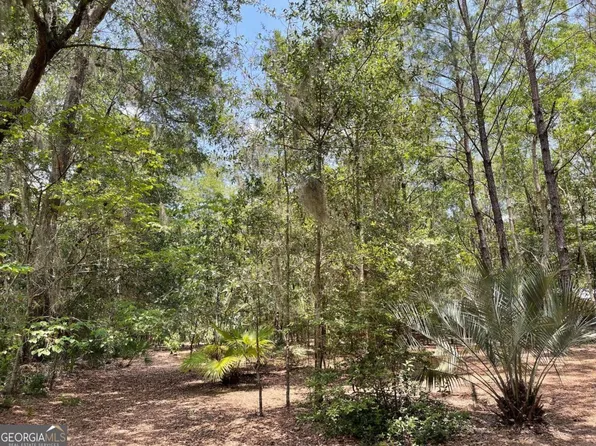 0 Alexander St, Saint Marys, GA 31558