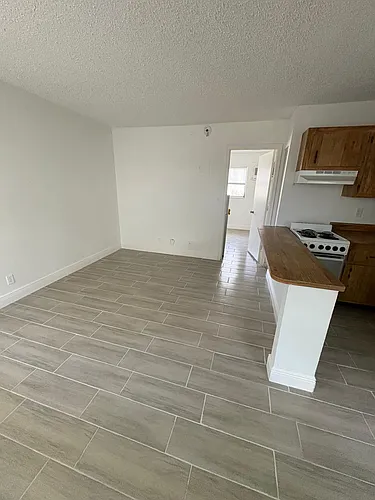 5192 NE 6th Ave #803 Photo 1