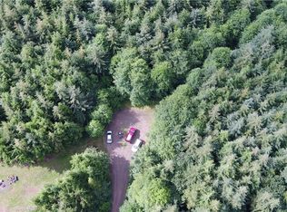 0 Dempsey Creek Ln, Aberdeen, WA 98520