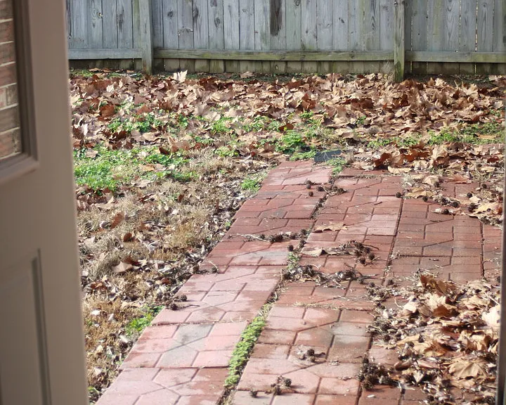 10002 Shannon Dr #4B — Photo 13