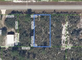 1419 Ivy St, Lake Placid, FL 33852