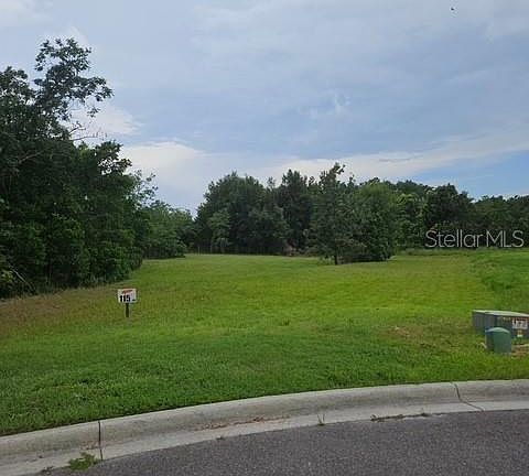 2nd image of 26116 ESTATES RIDGE DRIVE LOT 115