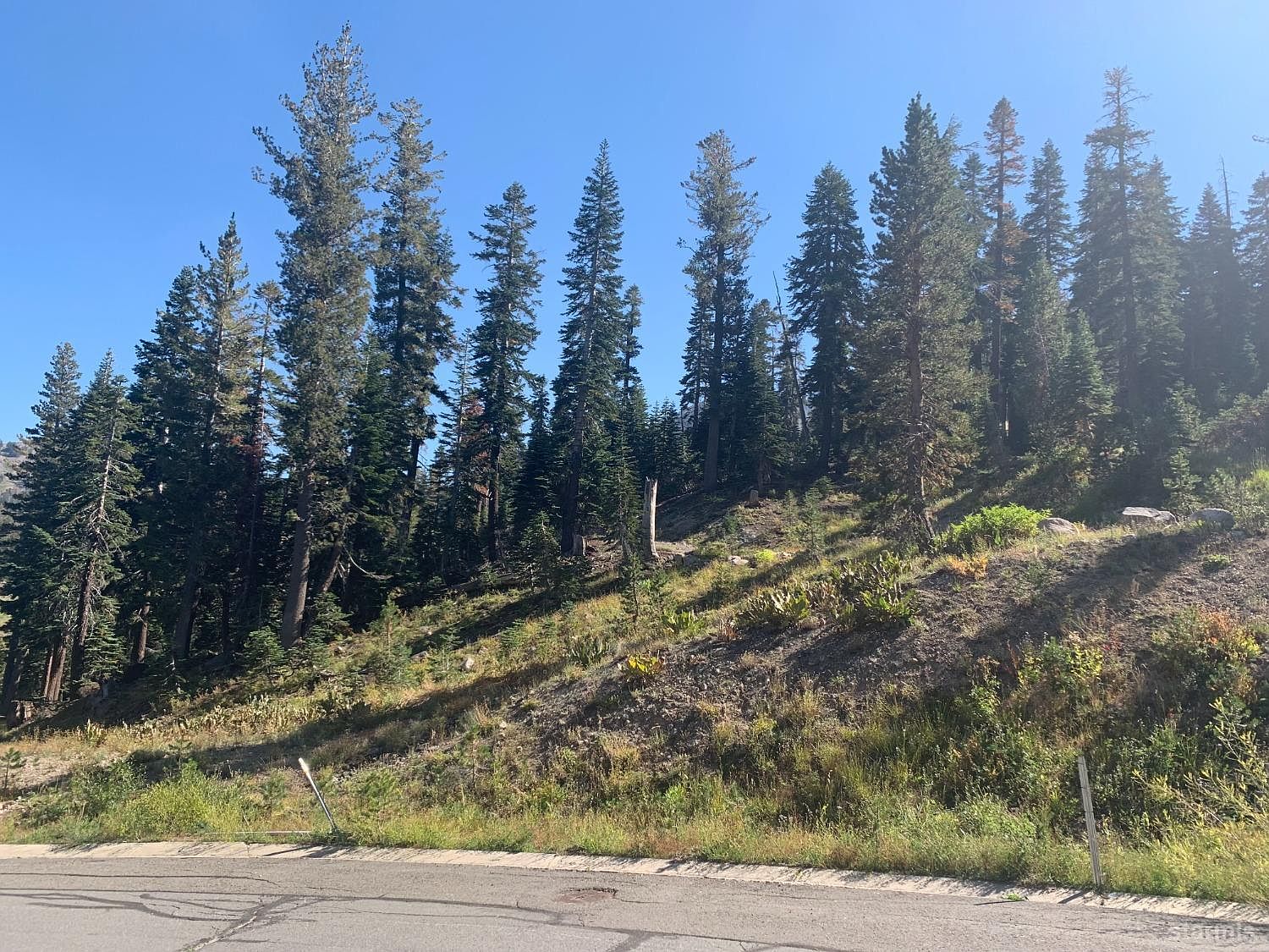 10 Palisades Dr, Markleeville, CA 96120 MLS 139512 Zillow