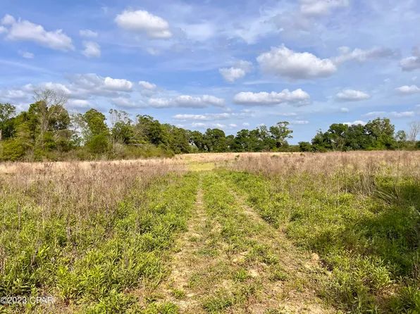 3616 Woodrest Rd, Cottondale, FL 32431