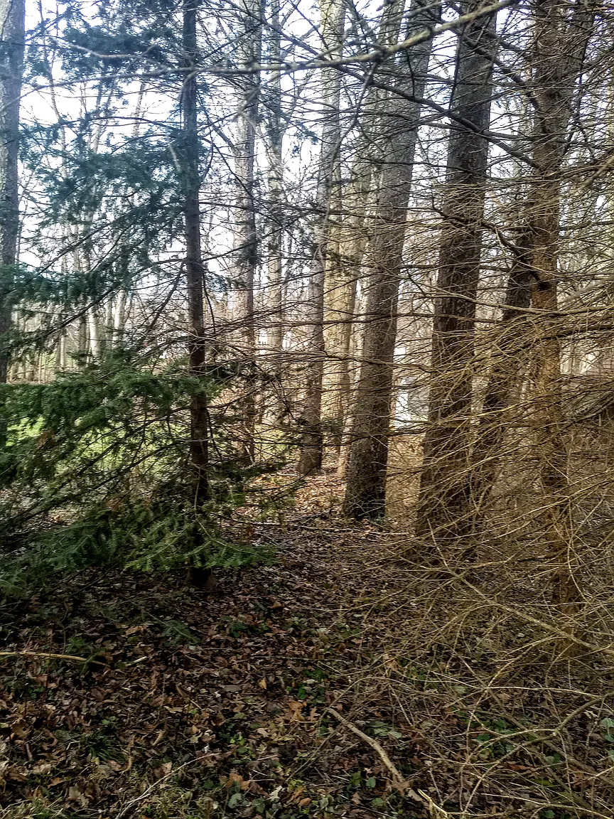 16351 Petro Dr photo 1