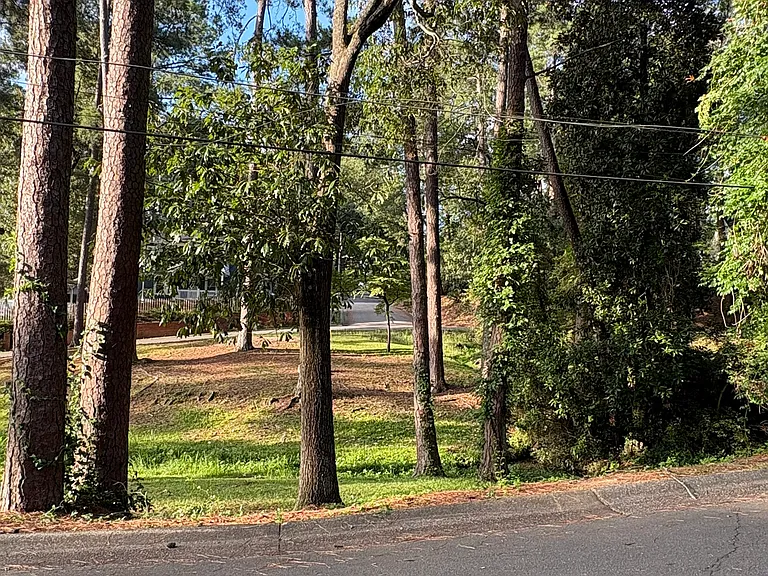 1004 Pine Hill Rd — Photo 36