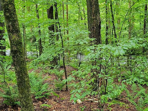 3rd image of 00 Heartwellville View Road #38