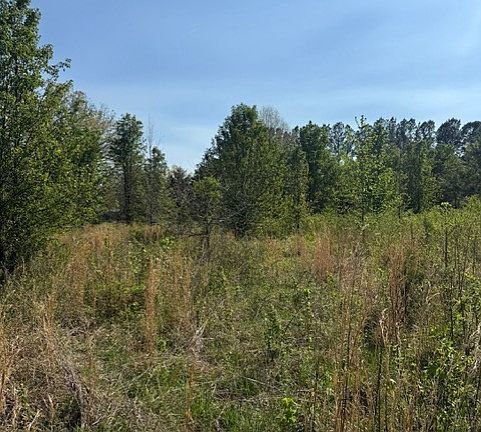 4th image of 185 Scott Orchard Rd Lot 1-3