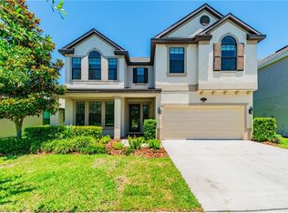 19211 Verdant Pasture Way, Tampa, FL 33647