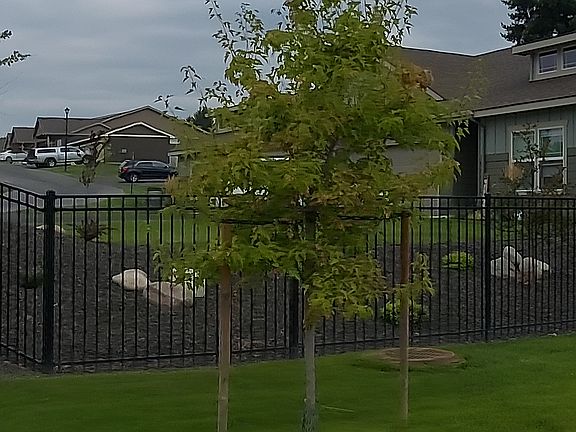 3rd image of 402 N Mayhew Ln #764f2fc8b
