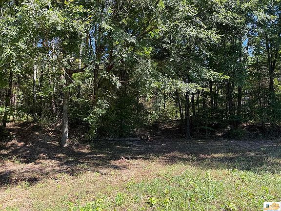 4th image of 810 Clear Springs Rd