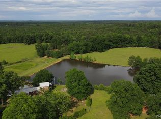 21193 Max Vintson Rd, Northport, AL 35475