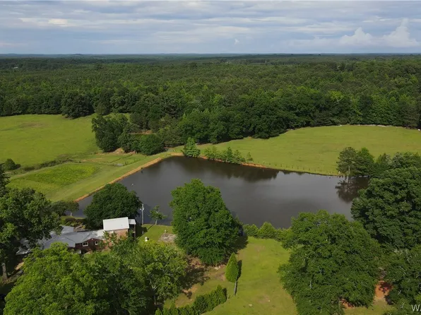 21193 Max Vintson Rd, Northport, AL 35475
