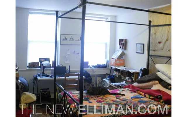 Rented by Douglas Elliman | media 19