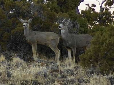 3rd image of 2200 View Point Dr