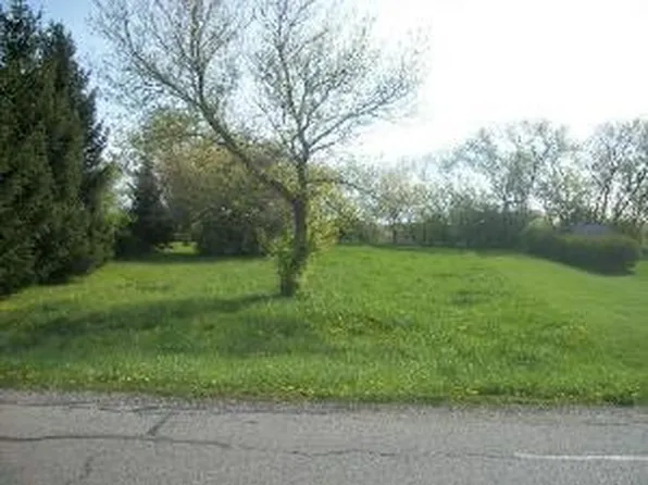 0 W North St, Essex, IL 60935