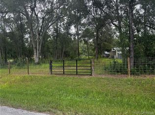 719 S Arlene Ave, Inverness, FL 34453