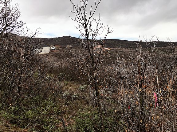 3rd image of 1508 S Clyde Lake Dr