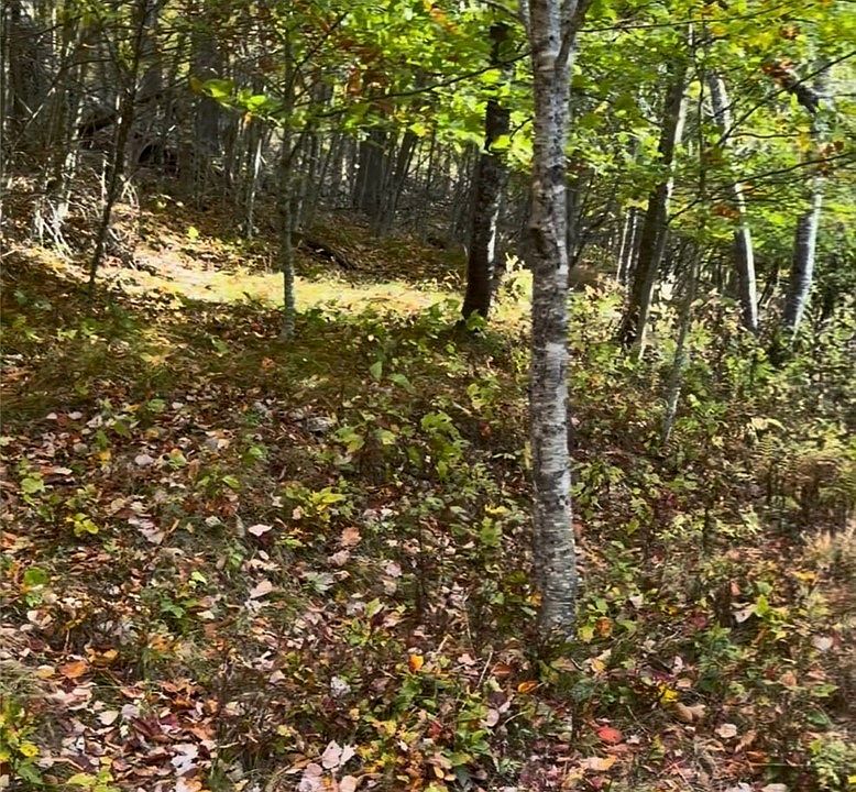 2nd image of 4 Fox Pointe