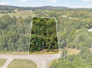 53 Hidden River Ave, Sparta, TN 38583