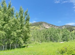 20 Dogwood Dr, Star Valley Ranch, WY 83127