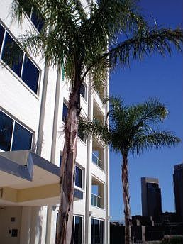 Corpus Christi Property Photo