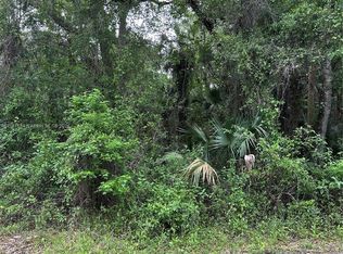 2107 Bayberry City In The Est #OF, Bunnell, FL 32110