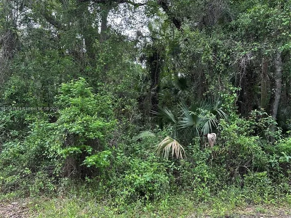 2107 Bayberry City In The Est #Of, Bunnell, FL 32110