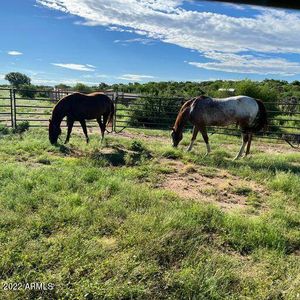 18.5 miles N Florence Kelvin Highway NE #D, Florence, AZ, 85132