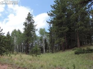 524 Pinewood Rd, Florissant, CO 80816
