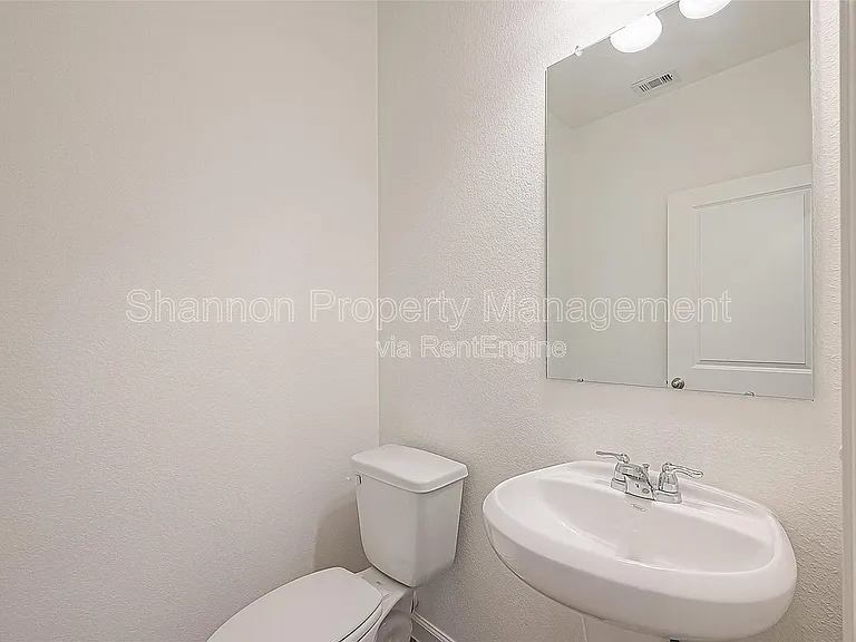 3993 Fringe Tree Ln — Photo 11