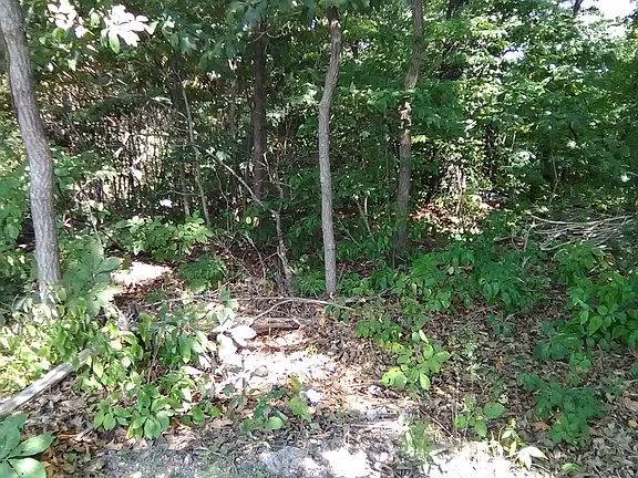 5th image of 96 N Shore Dr